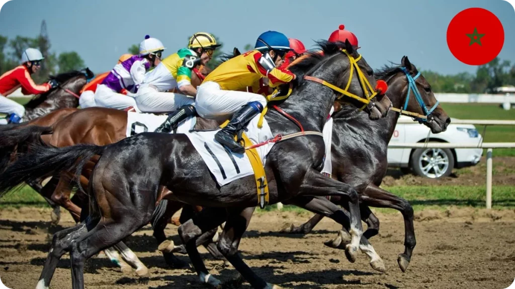 Horse Racing Betting – Your Guide to Success