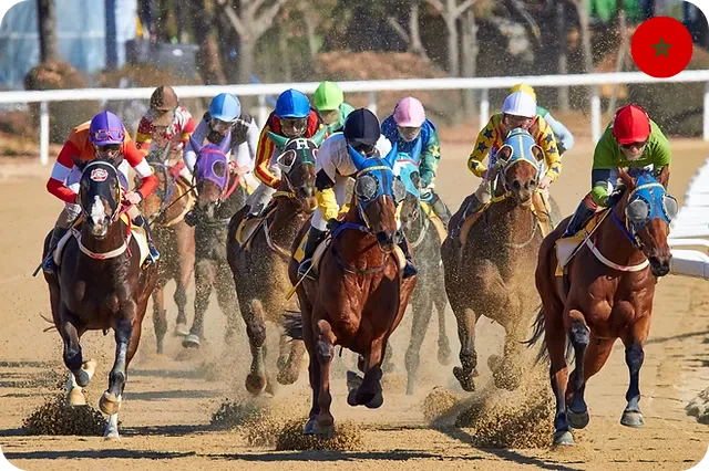 Why is horse racing popular in Arab countries?