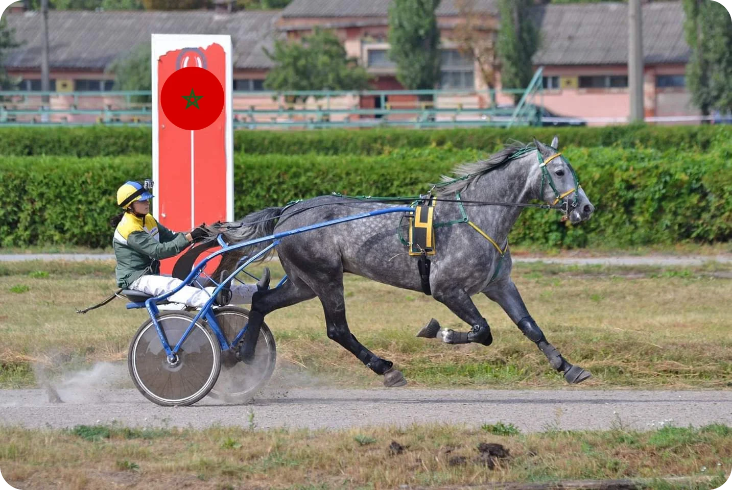 Other famous races in the region